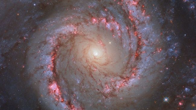 Галактика NGC 1566: космическая танцовщица с бесконечными спиральными рукавами (астрофото)