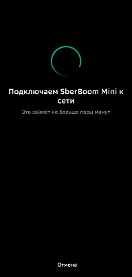 Обзор смарт-колонки SberBoom Mini 2 с голосовым ассистентом Салют